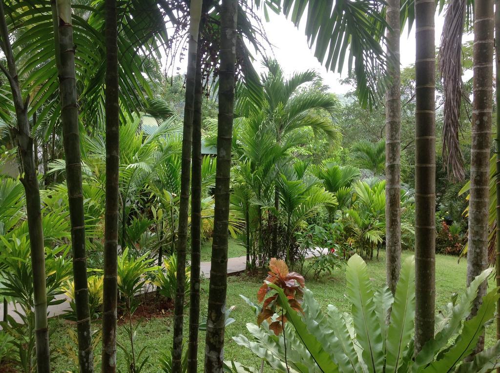 Vipa Tropical Resort Ao Nang Exterior foto
